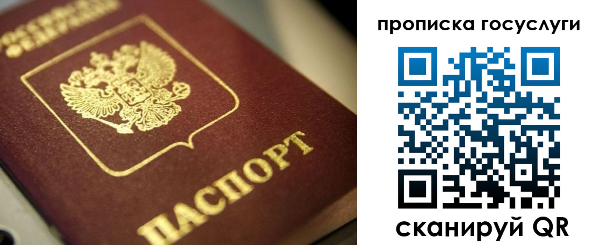 купить прописку в Курске